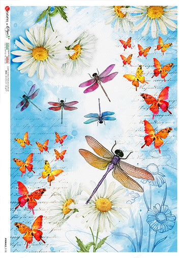 Dragonflies and Butterflies animals 0150