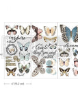 Papillon Collection